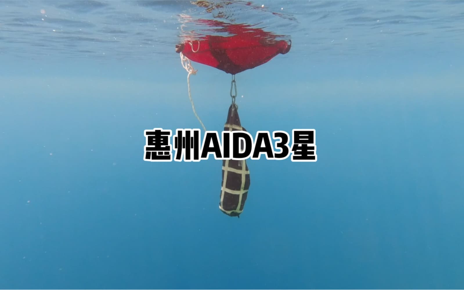 自由潜水训练视频解析：惠州自由潜水AIDA3星全记录
