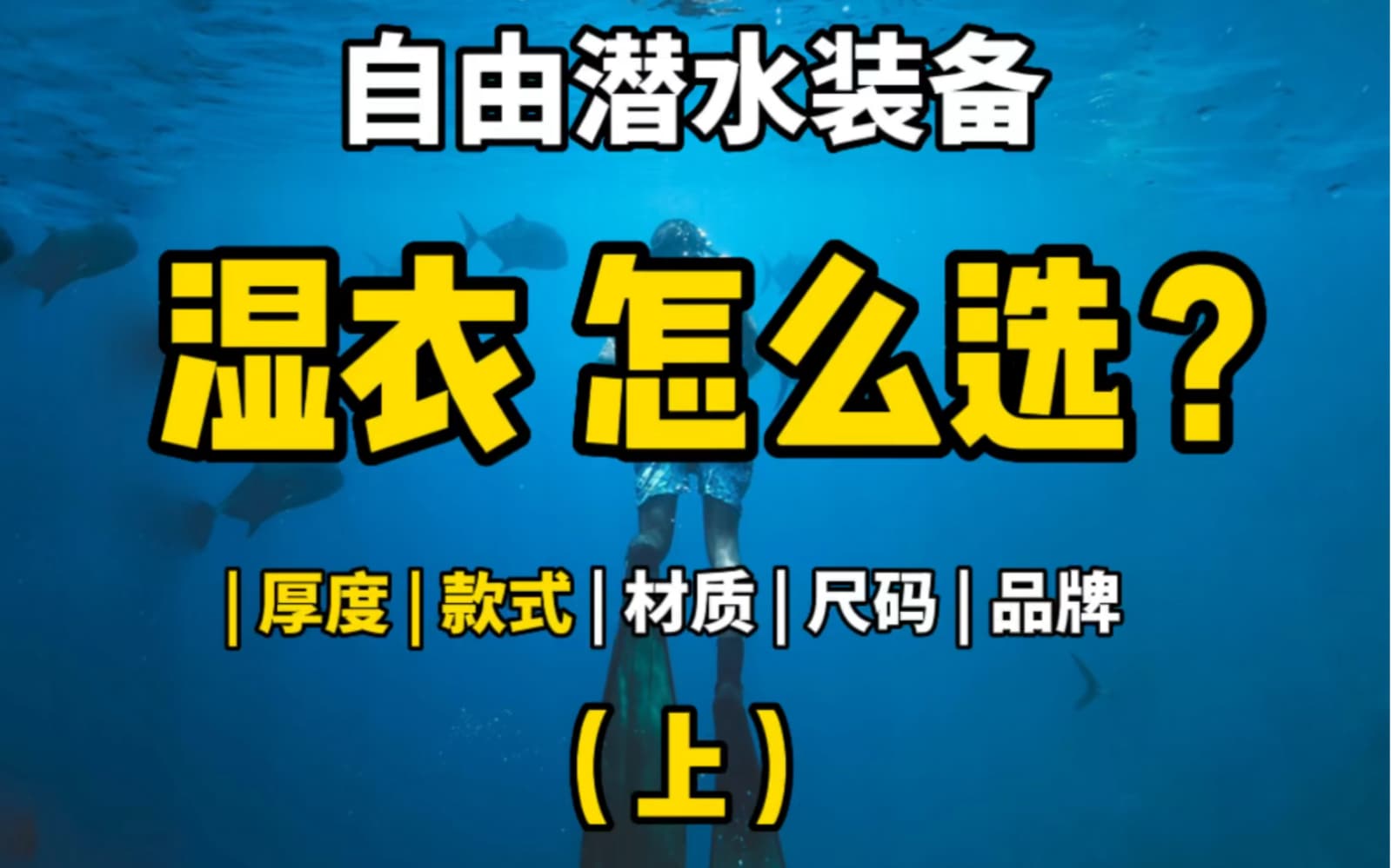 自由潜水装备视频解析：小白必看！自由潜水湿衣怎么选（上）