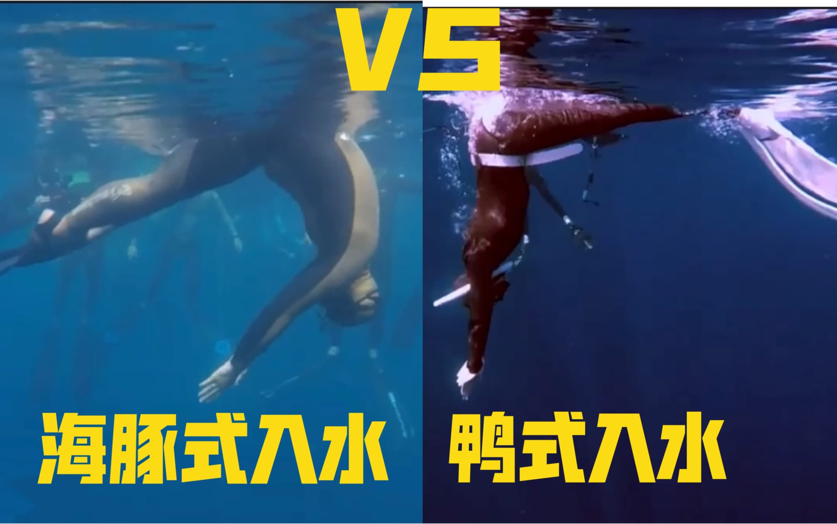 自由潜水技巧视频解析：鸭式入水OR 海豚式入水 哪个更高效？