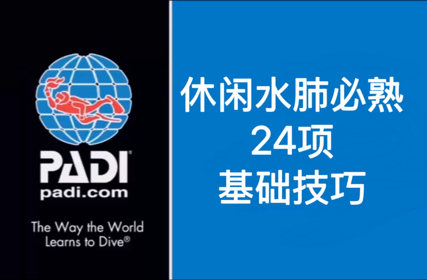 自由潜水技巧视频解析：【BJ搬运】PADI休闲水肺潜水员24项基础技巧