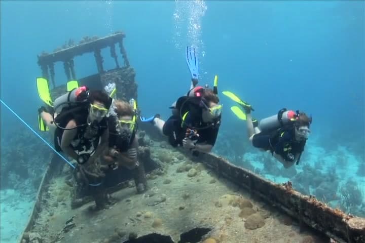 自由潜水训练视频解析：【PADI】OW潜水课程中文版