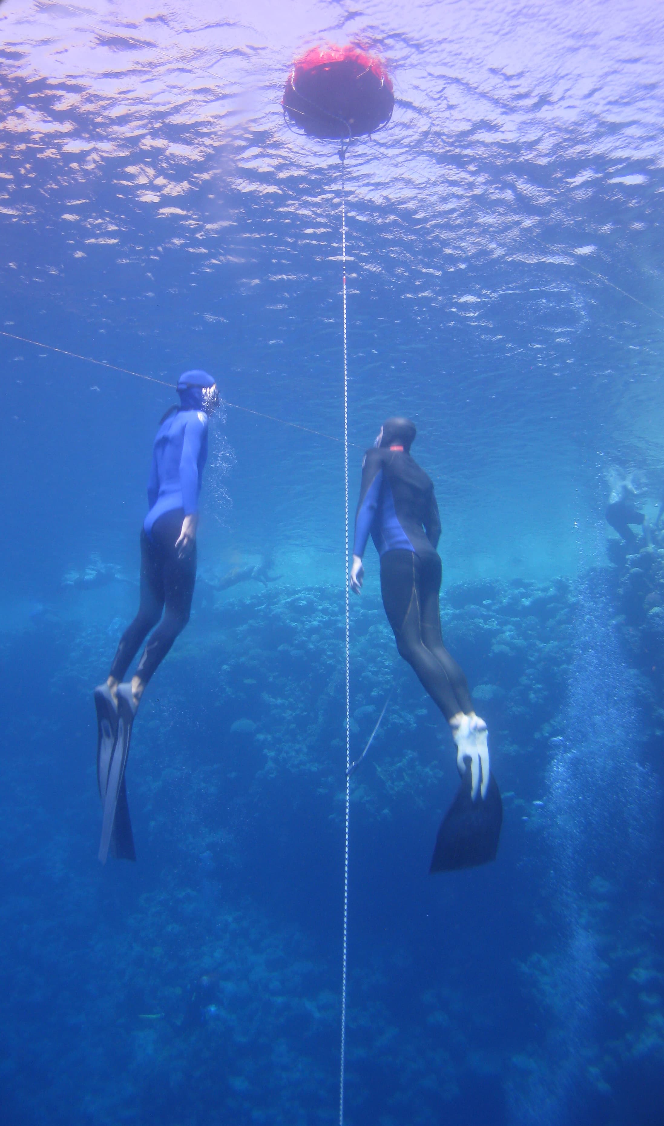【赛事】2026 AIDA Mabini Depth Quest：FIM 两项世界纪录同日诞生