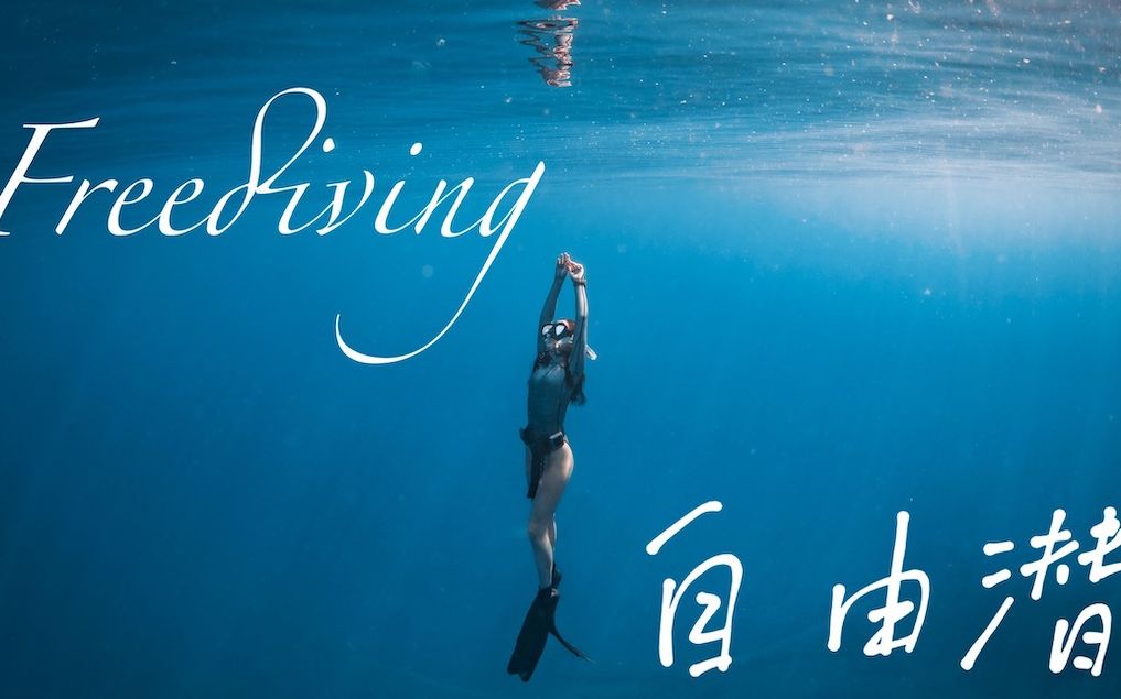 自由潜水训练视频解析：【入门必看】自由潜从零基础到助教 如果四分钟不能够呼吸