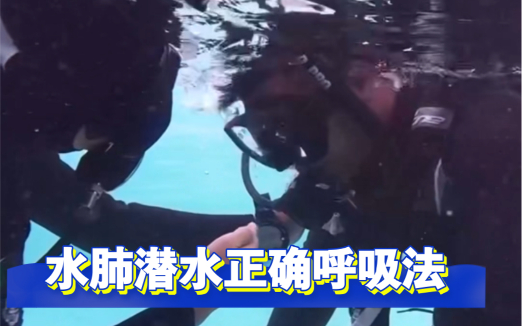 自由潜水训练视频解析：【学习潜水，从简单说起】正确的呼吸方式 。｜ PADI OW课程