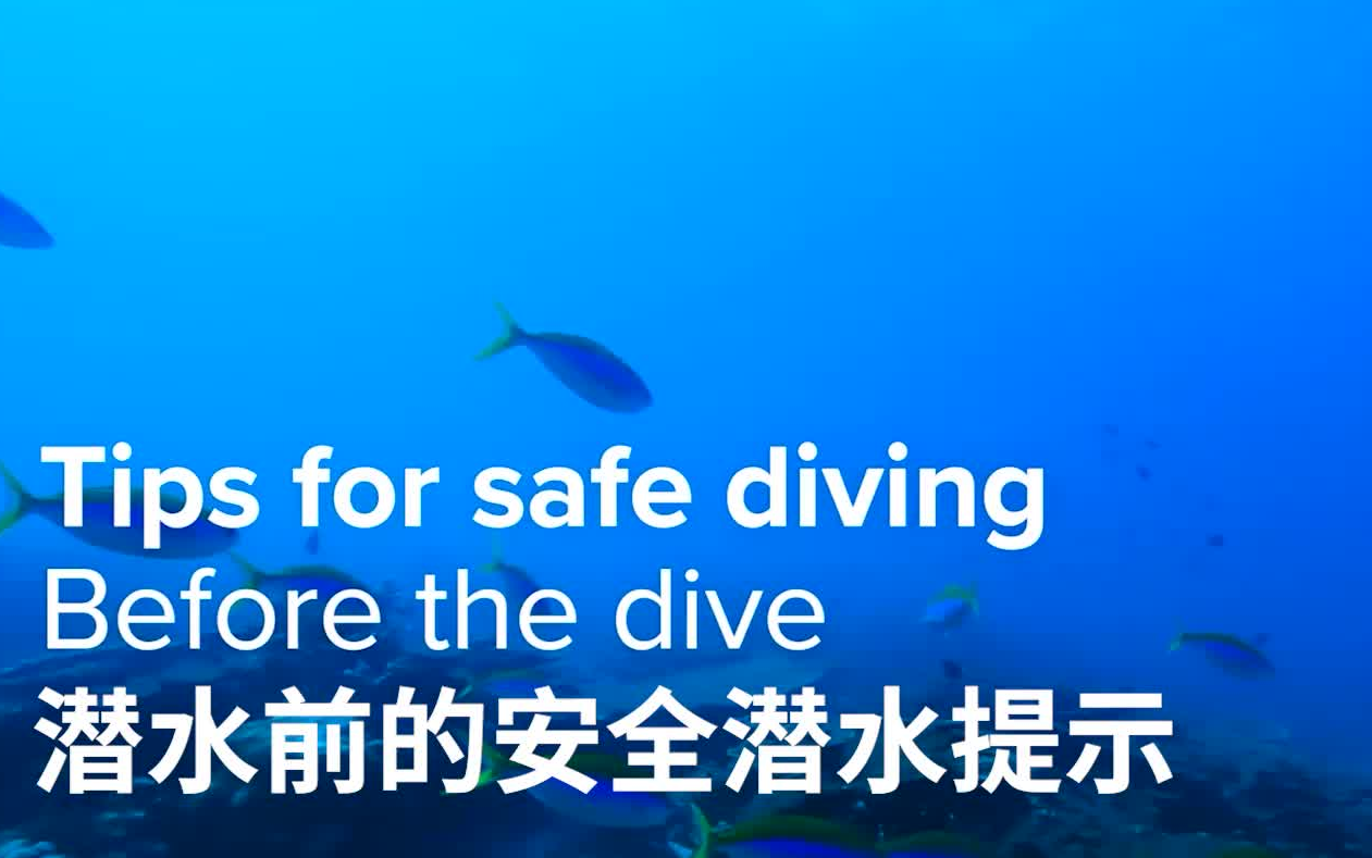 自由潜水安全视频解析：【Suunto潜水】你必须知道的潜水安全事项