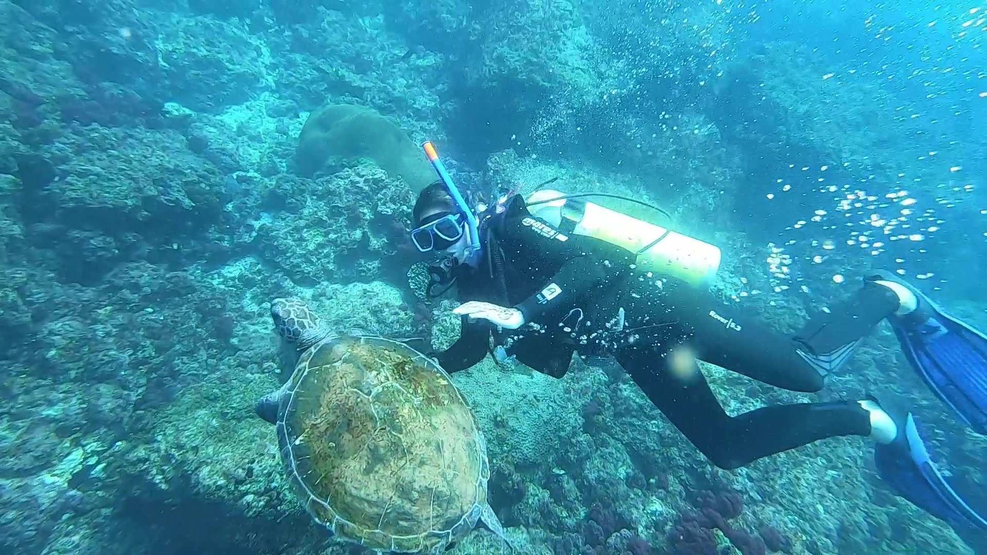 水肺潜水技巧视频解析：Scuba Diving