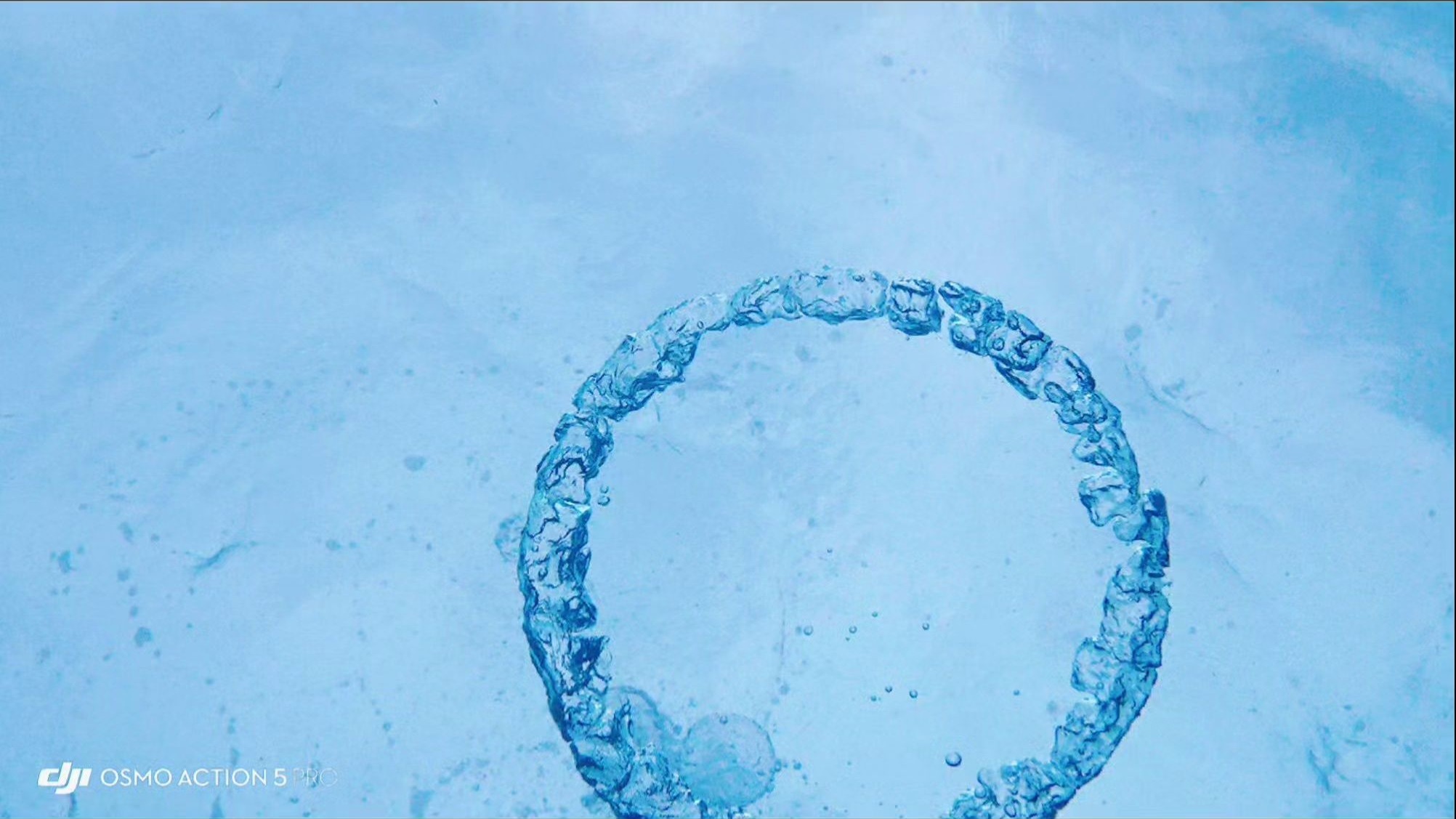 水肺潜水技巧视频解析：在仙本那scubajunkie学习潜水的一周